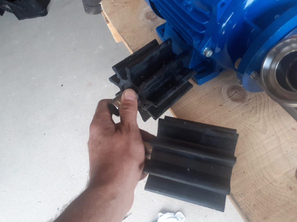 Liverani impeller Minor NBR